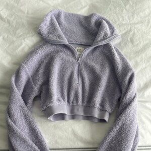 BDG Lilac Leaf Quarter-Zip Cropped Sweatshirt (small)